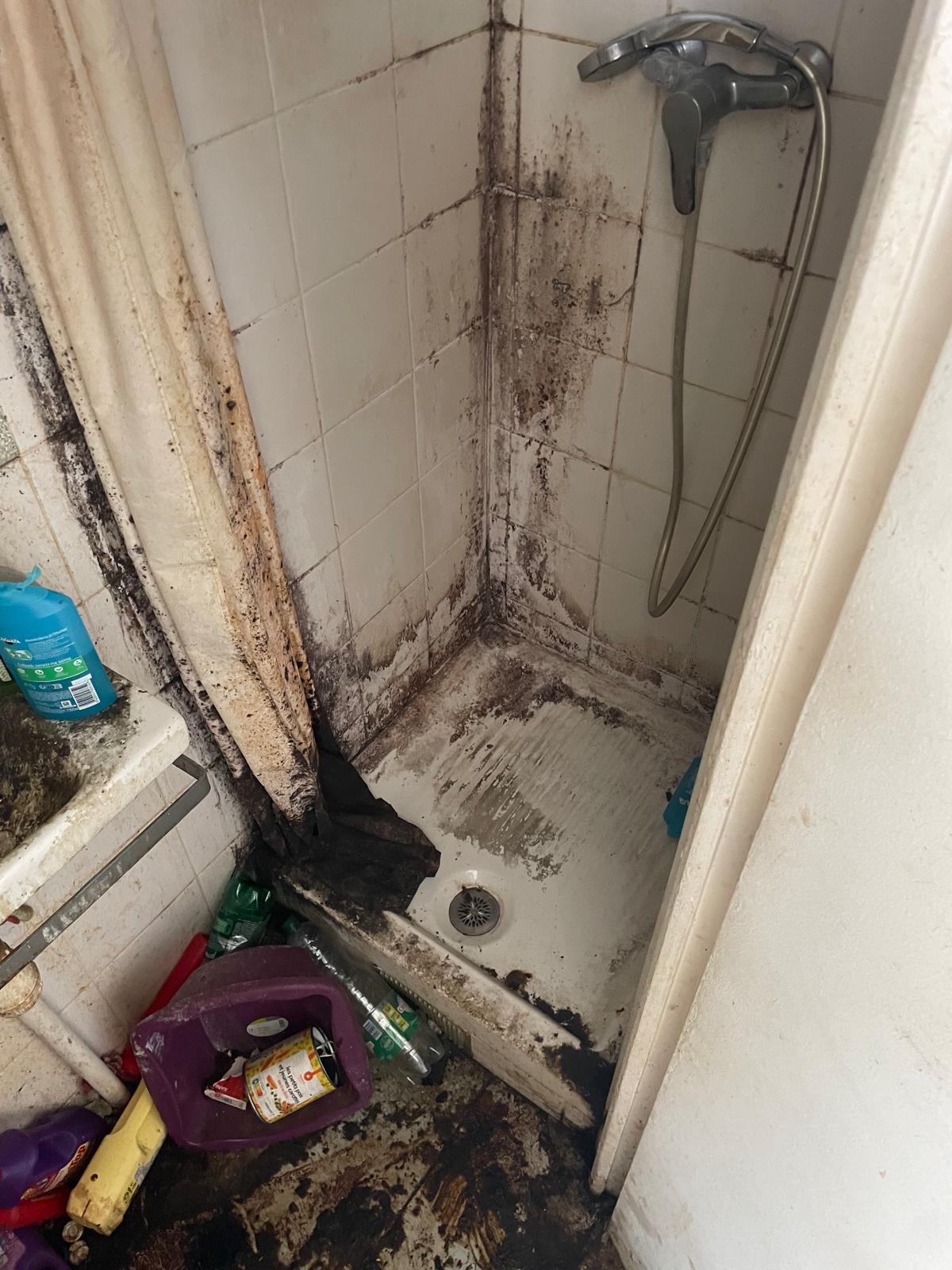 Que faire si, après nettoyage, on découvre des dégâts cachés (bois pourri, traces d’anciens dégâts des eaux) : SOS DC à Argenteuil et dans les environs IMG 20250701 WA0005