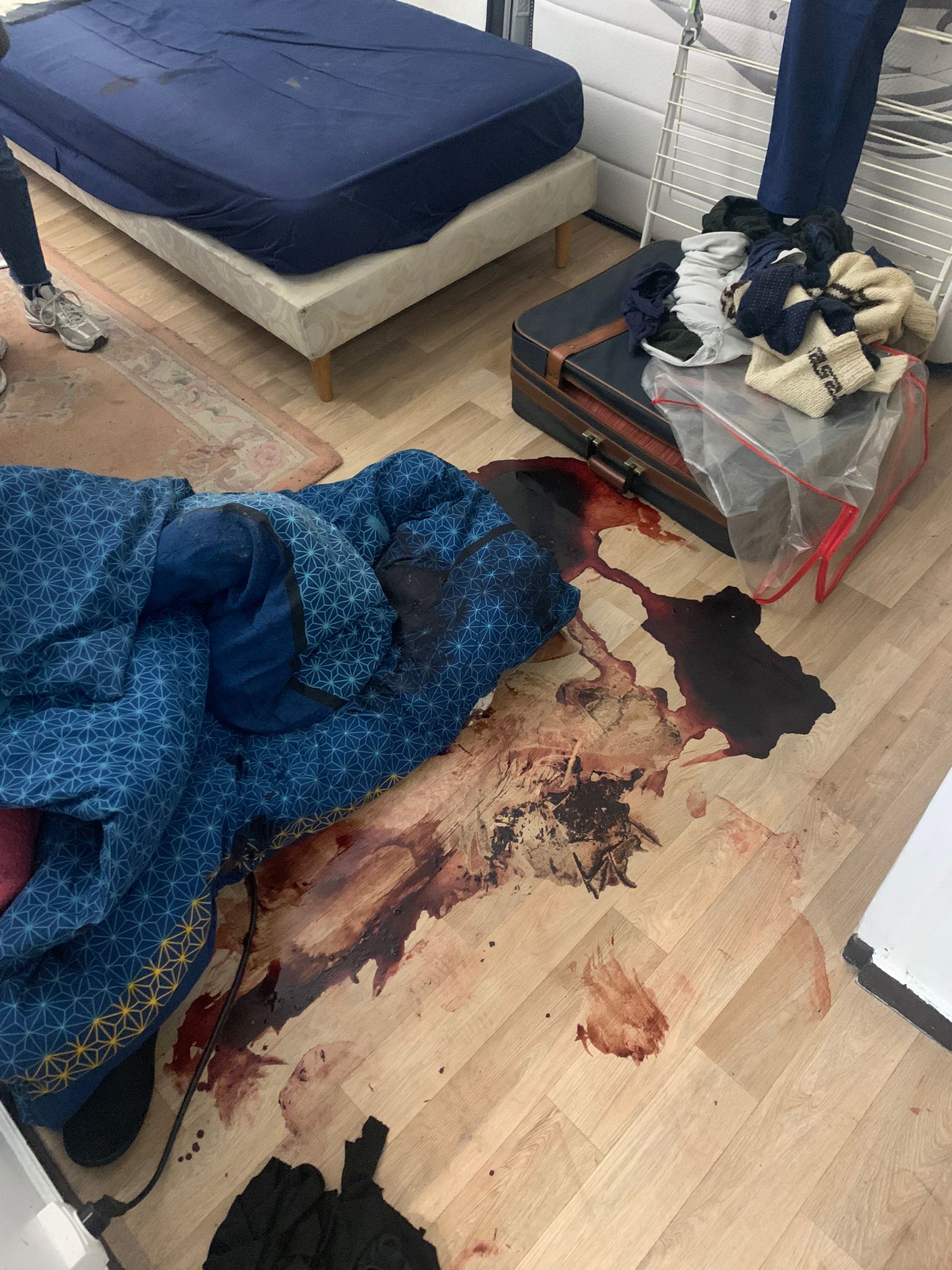 Comment travailler quand le logement est à la fois encombré, humide et infesté de nuisibles ? WhatsApp Image 2024 11 11 A 13.15.01 961f2b7c