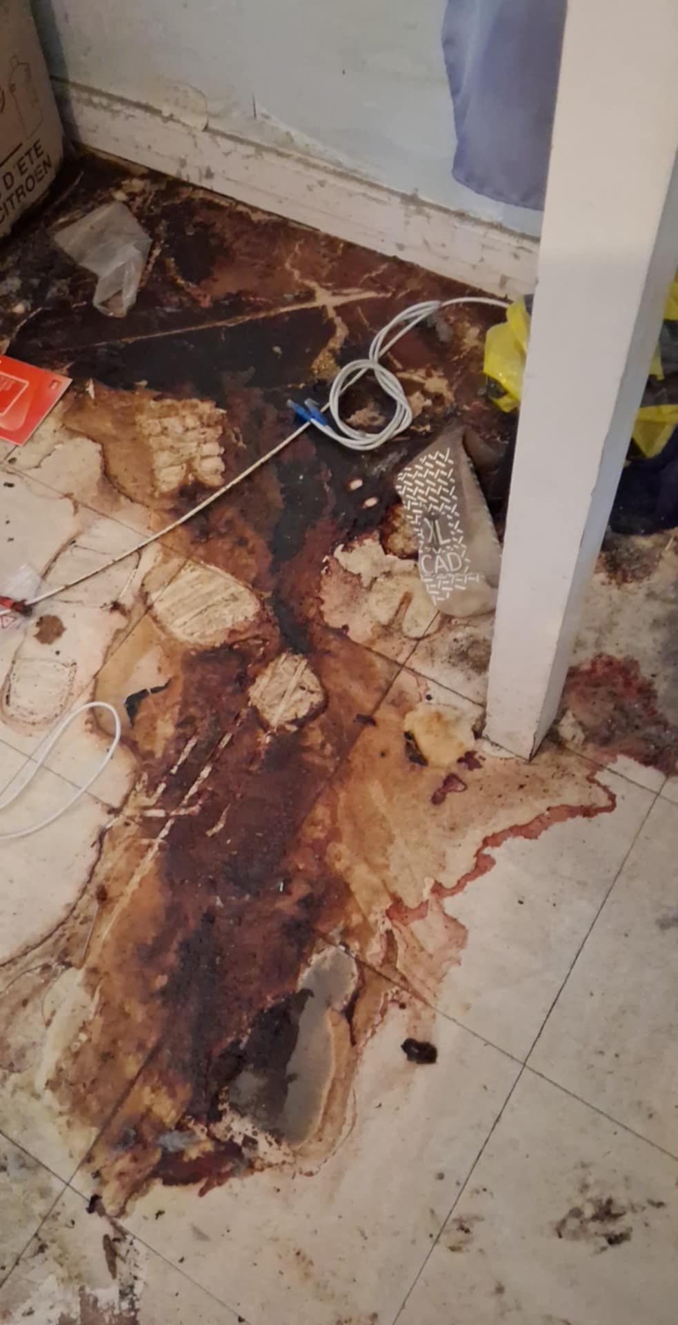 SOS DC à Argenteuil : les méthodes de tri les plus efficaces dans un appartement Diogène encombré du sol au plafond WhatsApp Image 2025 04 17 A 15.46.17 4b3920f9