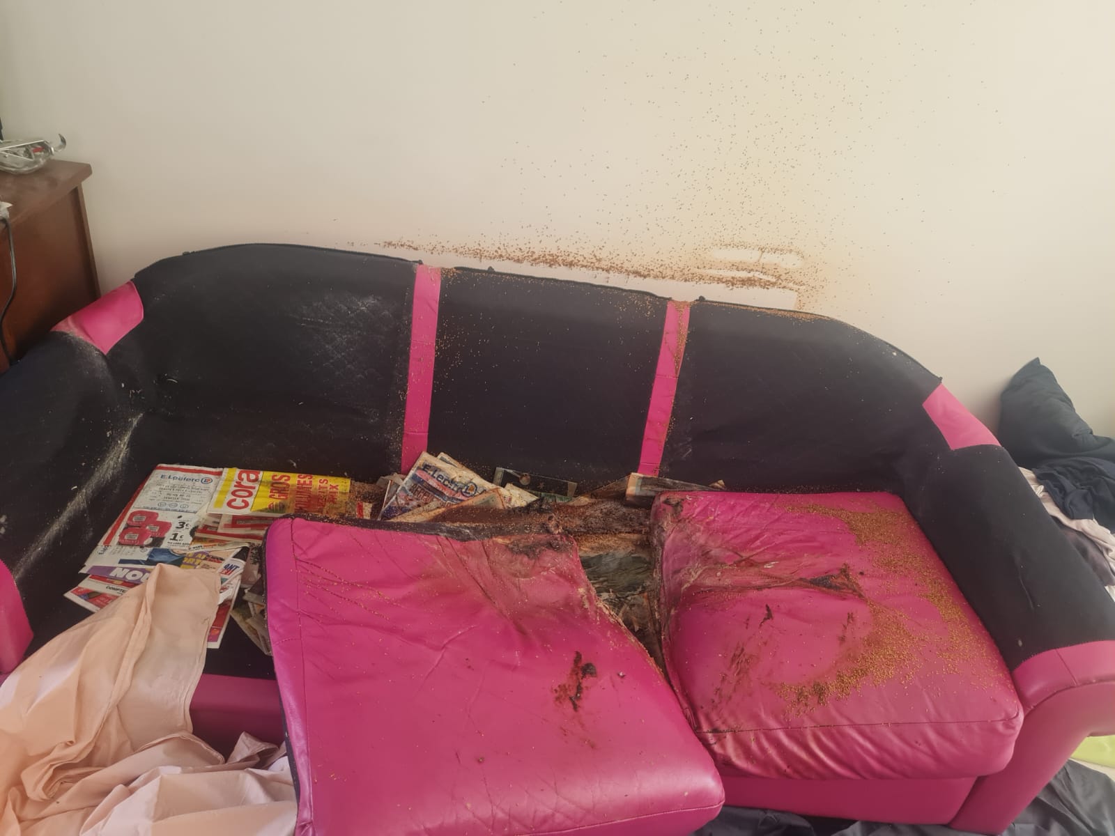 Comment se déroule un nettoyage après décès dans un logement déjà signalé comme insalubre à Argenteuil ? WhatsApp Image 2025 04 18 A 17.15.46 7c03292f